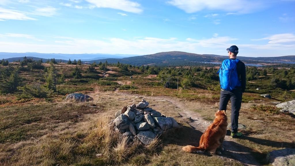 Lillehammer Fjellstue Og Hytteutleie Nordseter Esterno foto