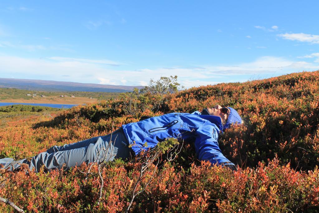 Lillehammer Fjellstue Og Hytteutleie Nordseter Esterno foto
