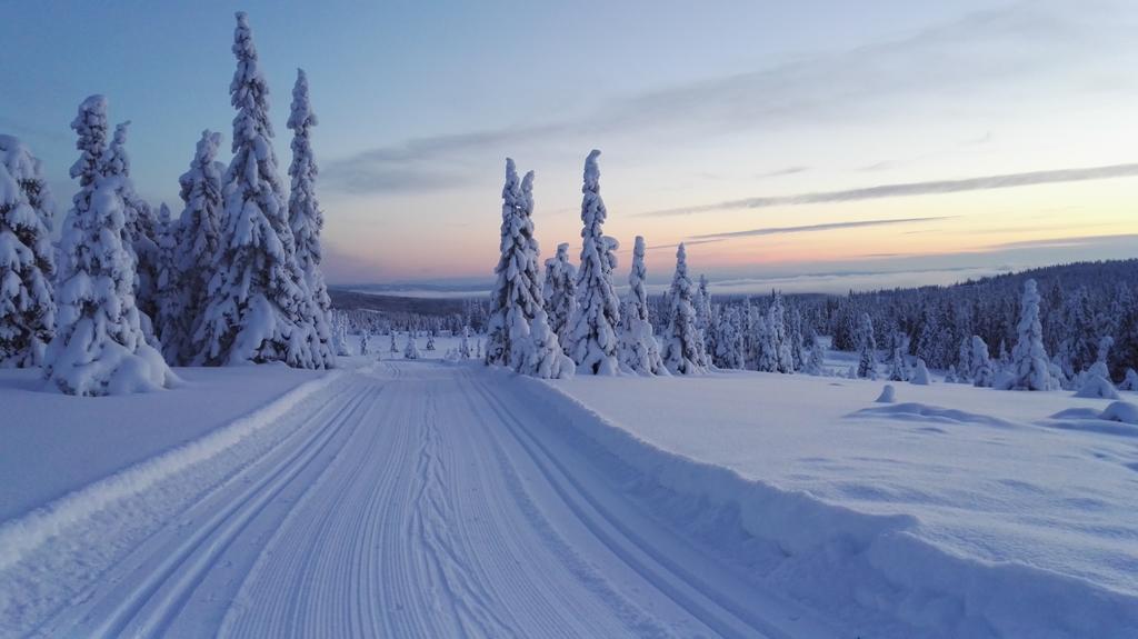 Lillehammer Fjellstue Og Hytteutleie Nordseter Esterno foto
