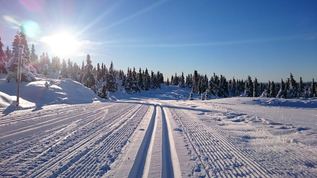Lillehammer Fjellstue Og Hytteutleie Nordseter Esterno foto