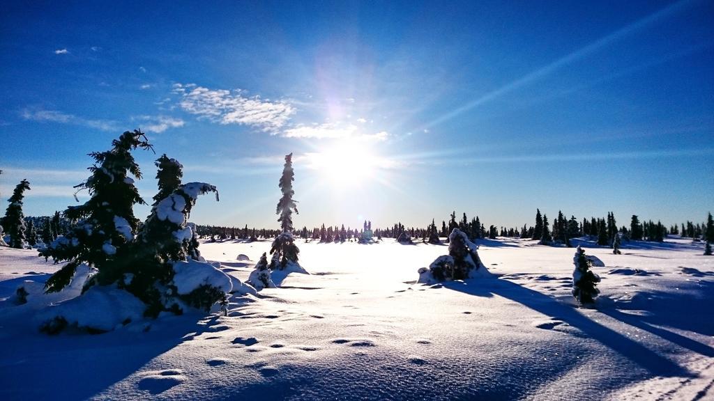 Lillehammer Fjellstue Og Hytteutleie Nordseter Esterno foto