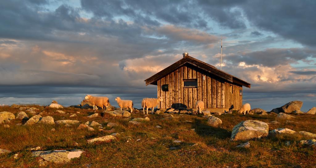 Lillehammer Fjellstue Og Hytteutleie Nordseter Esterno foto